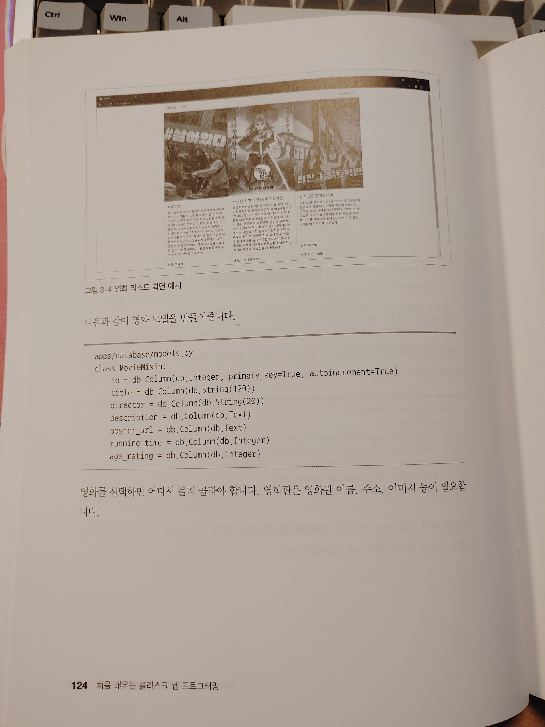 책내용
